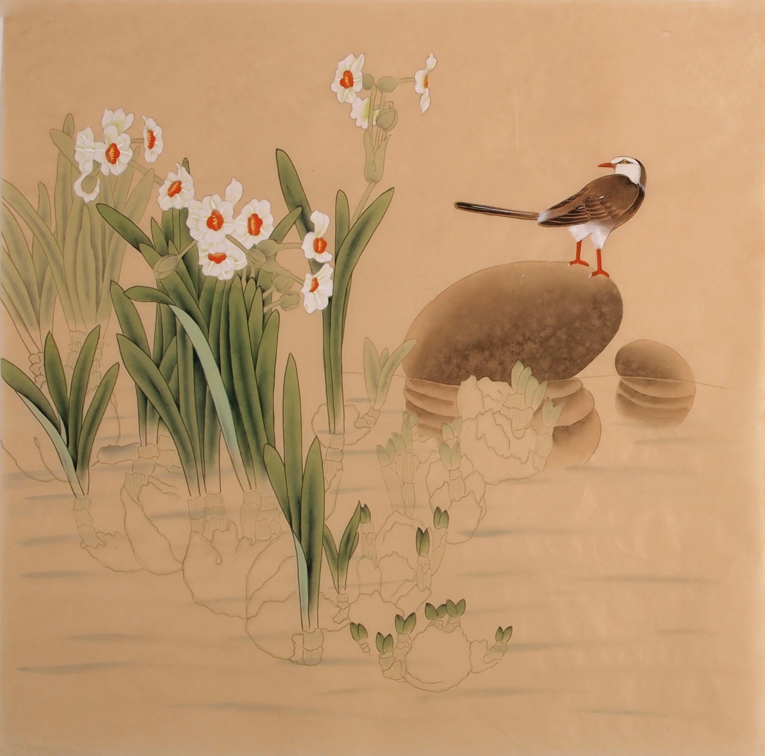 Other Birds - CNAG005707