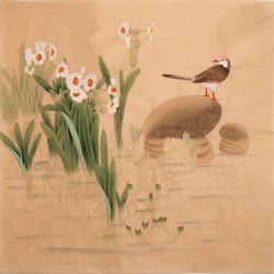 Other Birds - CNAG005710