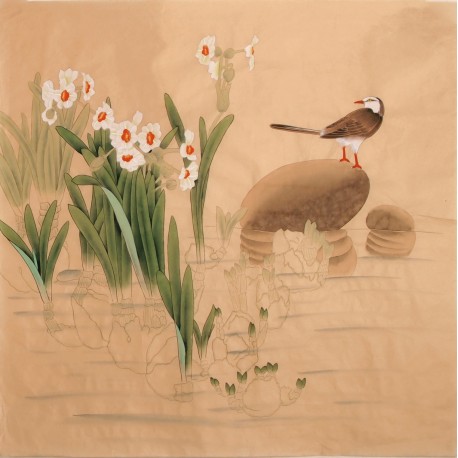 Other Birds - CNAG005710