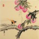 Peach Blossom - CNAG005715