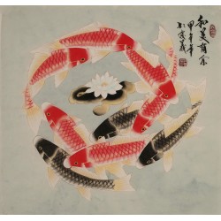 Fish - CNAG005722