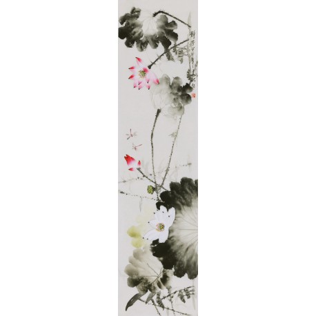 Lotus - CNAG000573