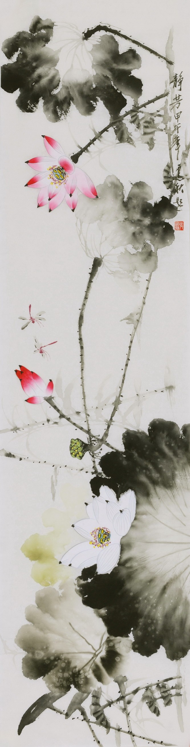 Lotus - CNAG000573