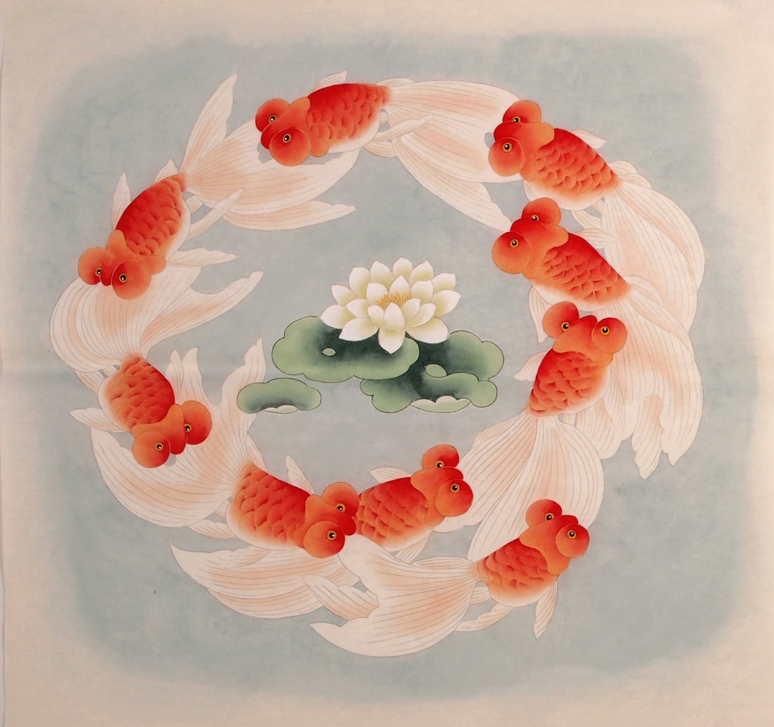 Fish - CNAG005728