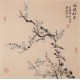 Plum - CNAG005731