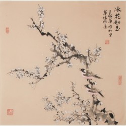 Plum - CNAG005731