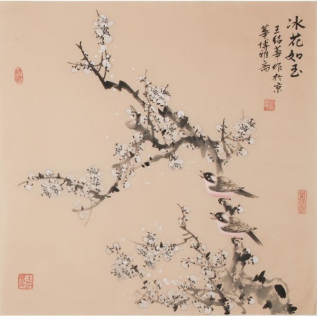 Plum - CNAG005731