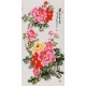 Peony - CNAG000574