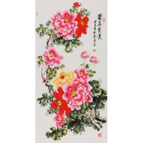 Peony - CNAG000574