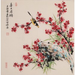 Plum - CNAG005736