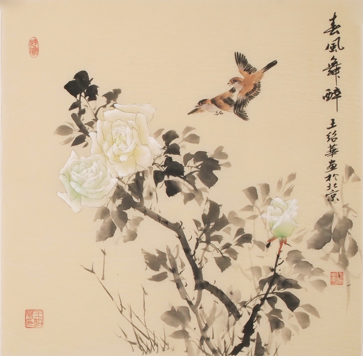 Other Birds - CNAG005741