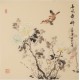 Other Birds - CNAG005743