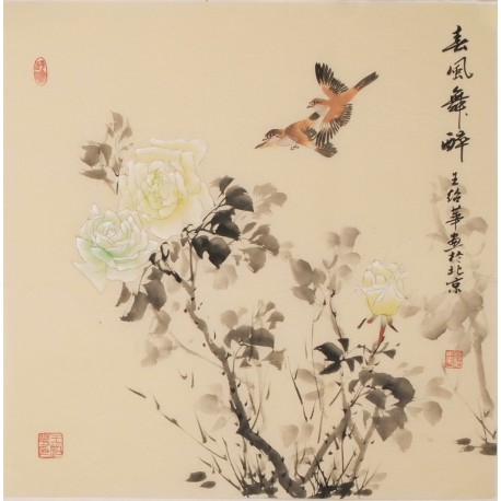 Other Birds - CNAG005743