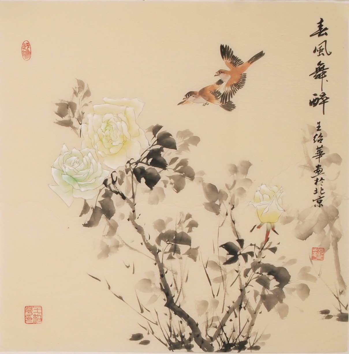 Other Birds - CNAG005743