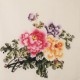 Peony - CNAG005745
