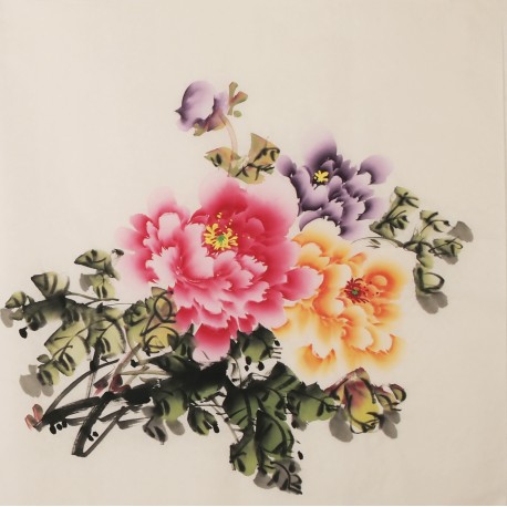 Peony - CNAG005745