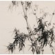 Ink Bamboo - CNAG005747
