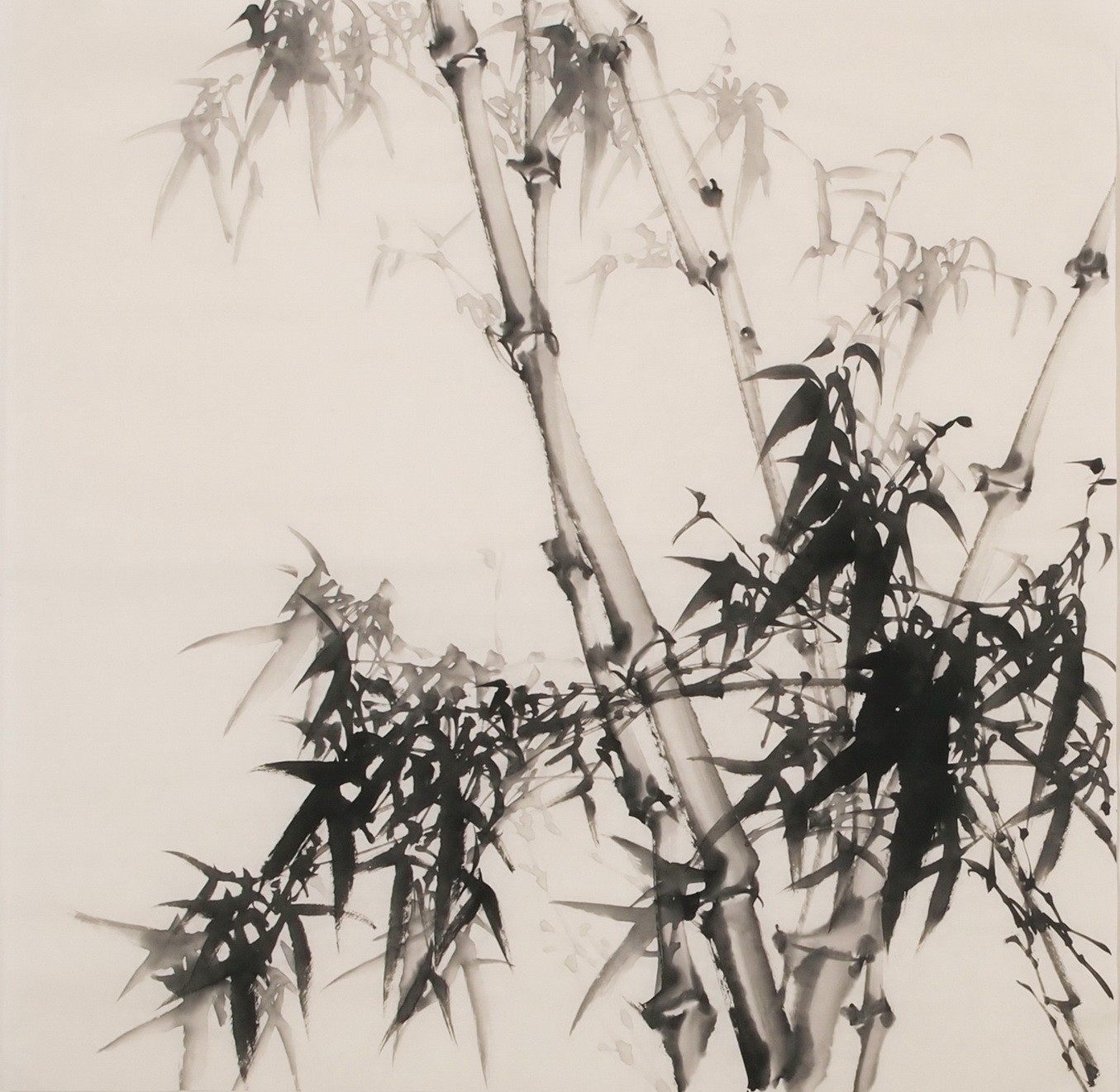 Ink Bamboo - CNAG005747