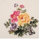 Peony - CNAG005750