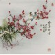 Plum - CNAG005751