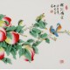 Peach Blossom - CNAG005752
