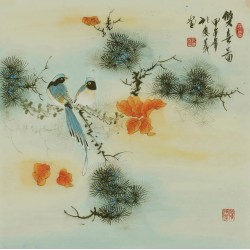 Other Birds - CNAG005755