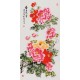 Peony - CNAG000576