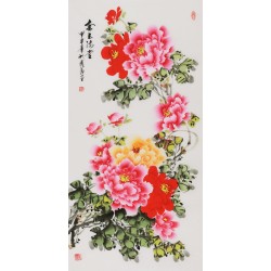 Peony - CNAG000576