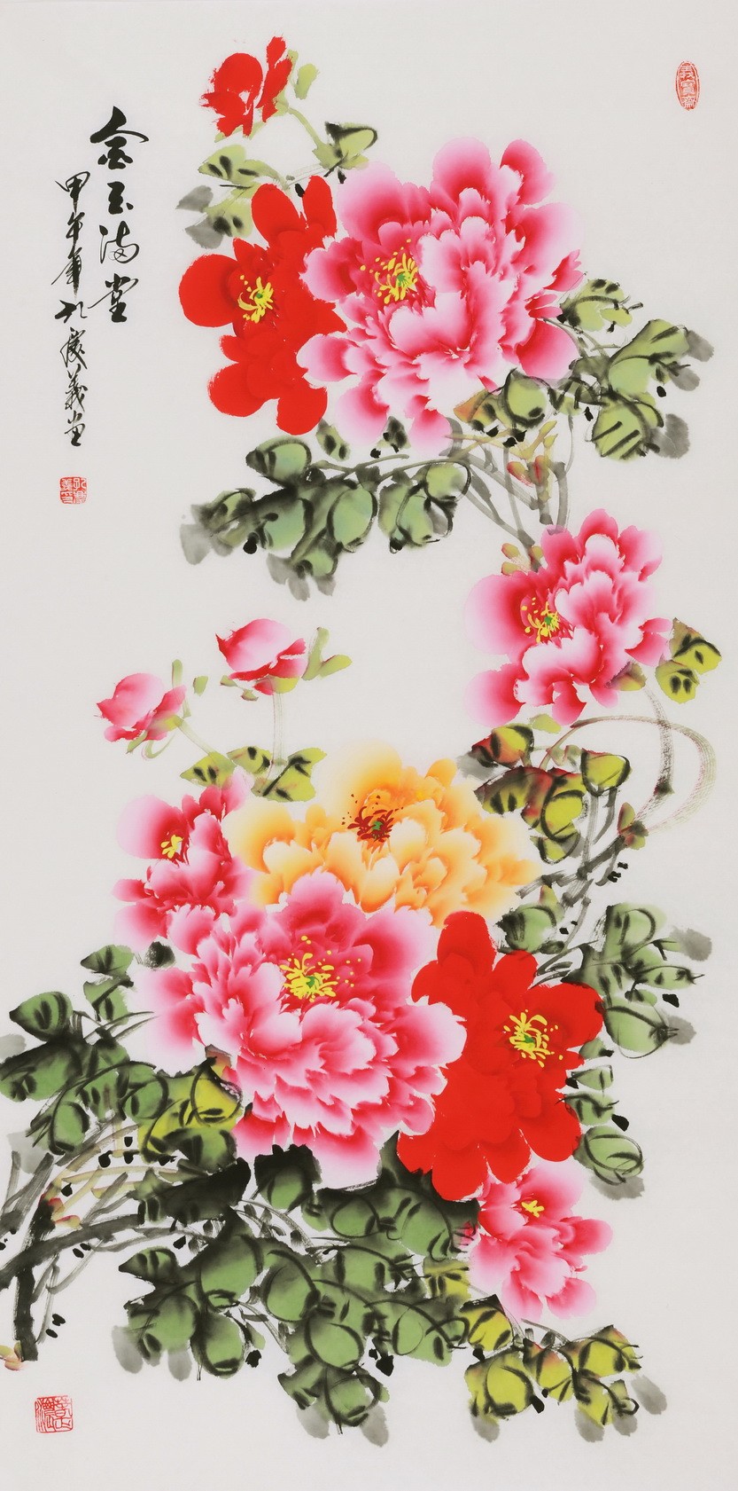 Peony - CNAG000576