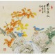 Other Birds - CNAG005756