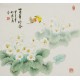 Other Birds - CNAG005757