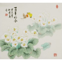 Other Birds - CNAG005757