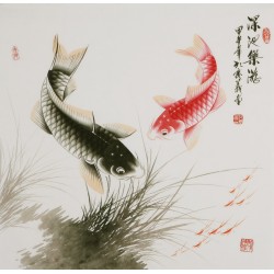 Fish - CNAG005758