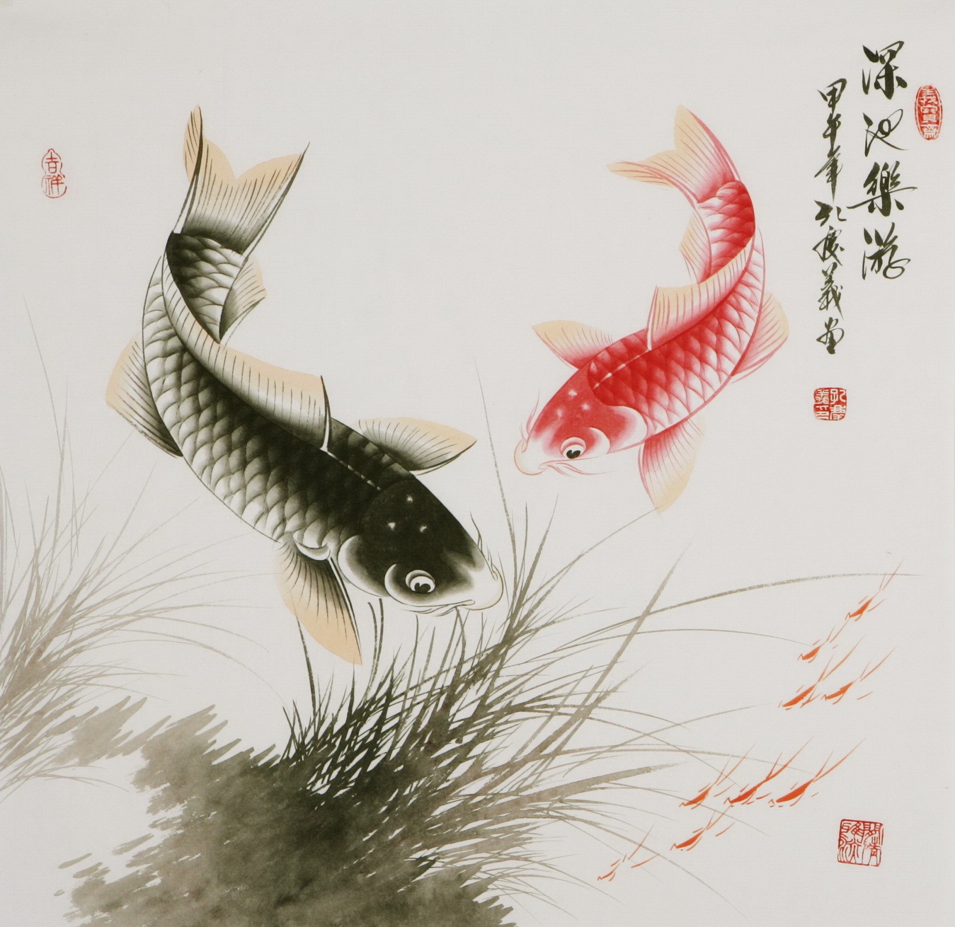 Fish - CNAG005758