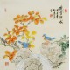 Other Birds - CNAG005759