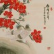 Other Birds - CNAG005760