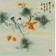 Other Birds - CNAG005761