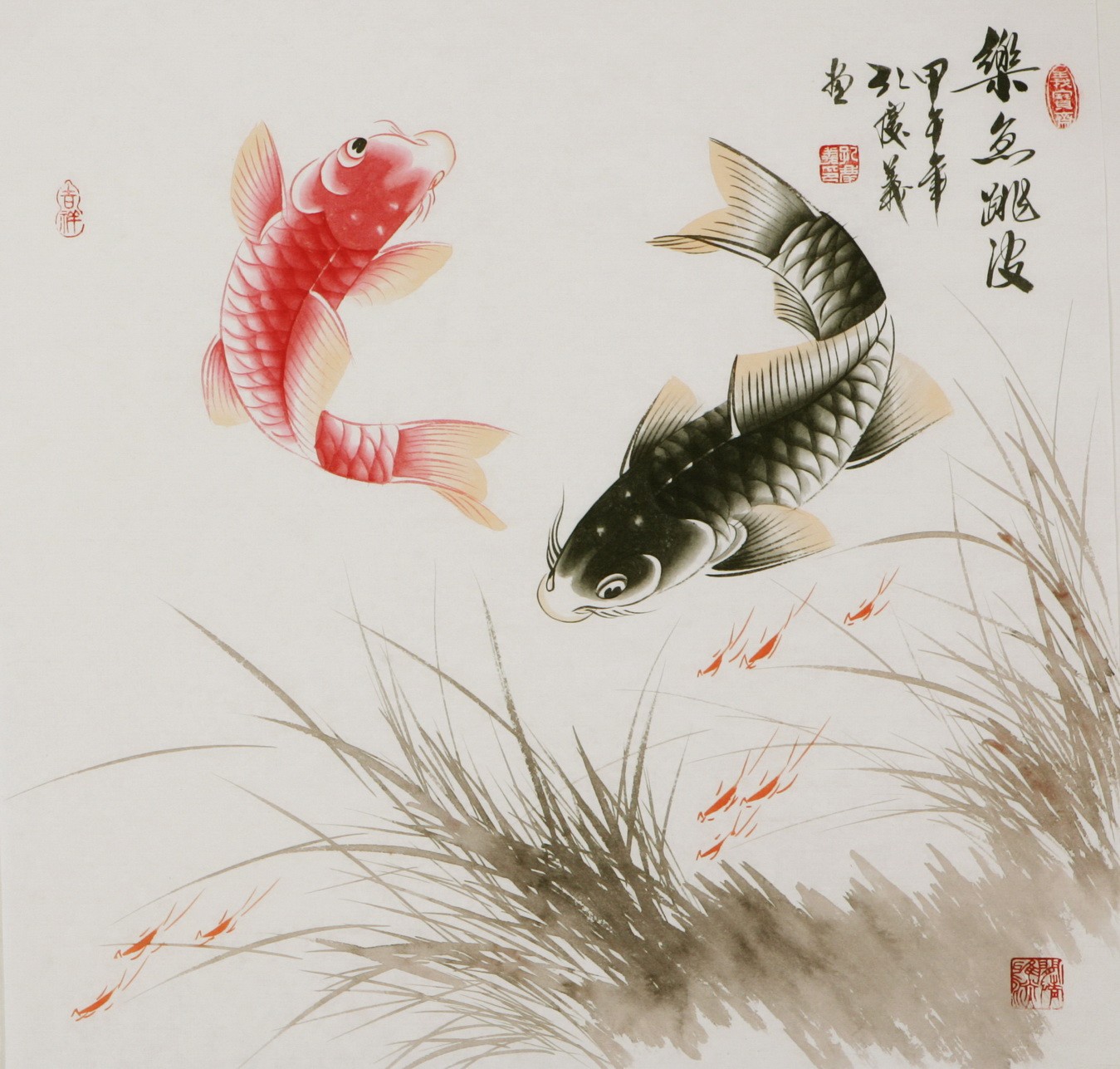 Fish - CNAG005765