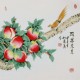 Peach Blossom - CNAG005766