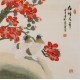 Other Birds - CNAG005767