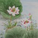 Lotus - CNAG005774