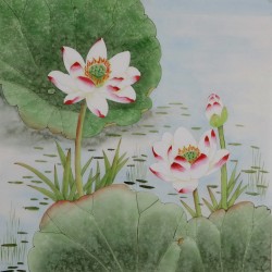 Lotus - CNAG005774