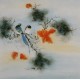 Other Birds - CNAG005775