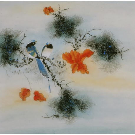 Other Birds - CNAG005775