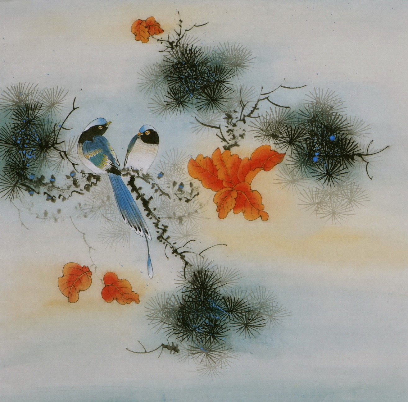Other Birds - CNAG005775