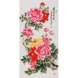 Peony - CNAG000578