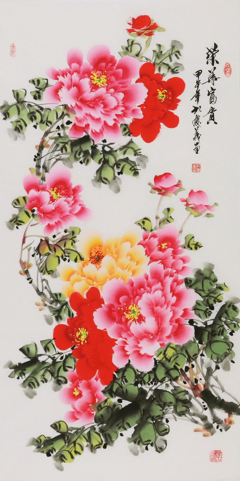 Peony - CNAG000578