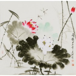 Lotus - CNAG005776