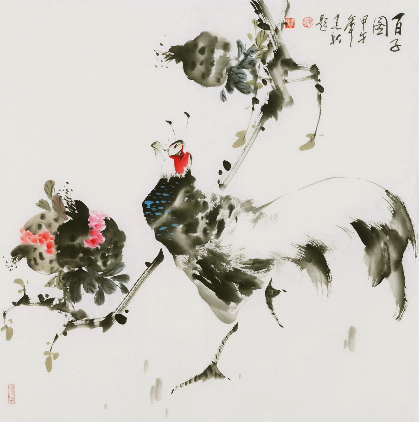 Chicken - CNAG005778