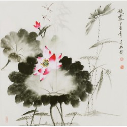 Lotus - CNAG005783